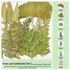 Handmade Pressed Flower Bookmark and Epoxy Sticker Pack with Real Leaf and Plant Specimens for DIY Face Makeup.