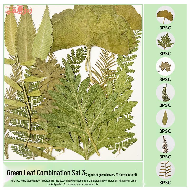 Handmade Pressed Flower Bookmark and Epoxy Sticker Pack with Real Leaf and Plant Specimens for DIY Face Makeup.