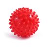 WEZHO Spiky Massage Ball Set