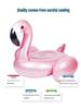 Unicorn & Flamingo Inflatable Swim Rings with Water Gun for Adults & Kids