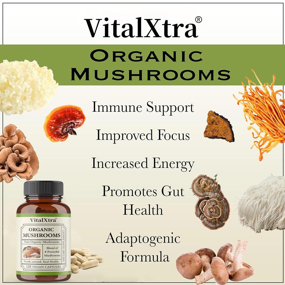 Bio 8-Pilz-Komplex-Mischung 120 Vegane Kapseln Nahrungsergänzungsmittel