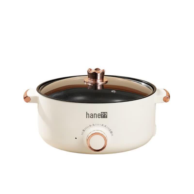 Hanle Bear Multifunctional Electric Cooking Pot