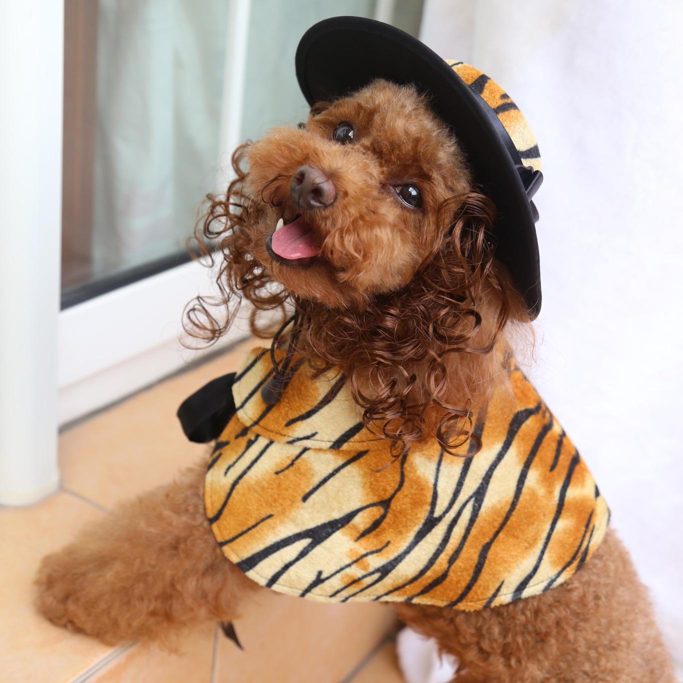 

European and American Style Dog Cape with Hat Wig, Small Dog Teddy Suit PF32, S