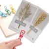 10 Mollette Mollette Domestiche Asciugatura Vestiti Piccola Clip Antivento Forte Fissaggio Ferro Impregnato Plastica Asciugatura Calzini
