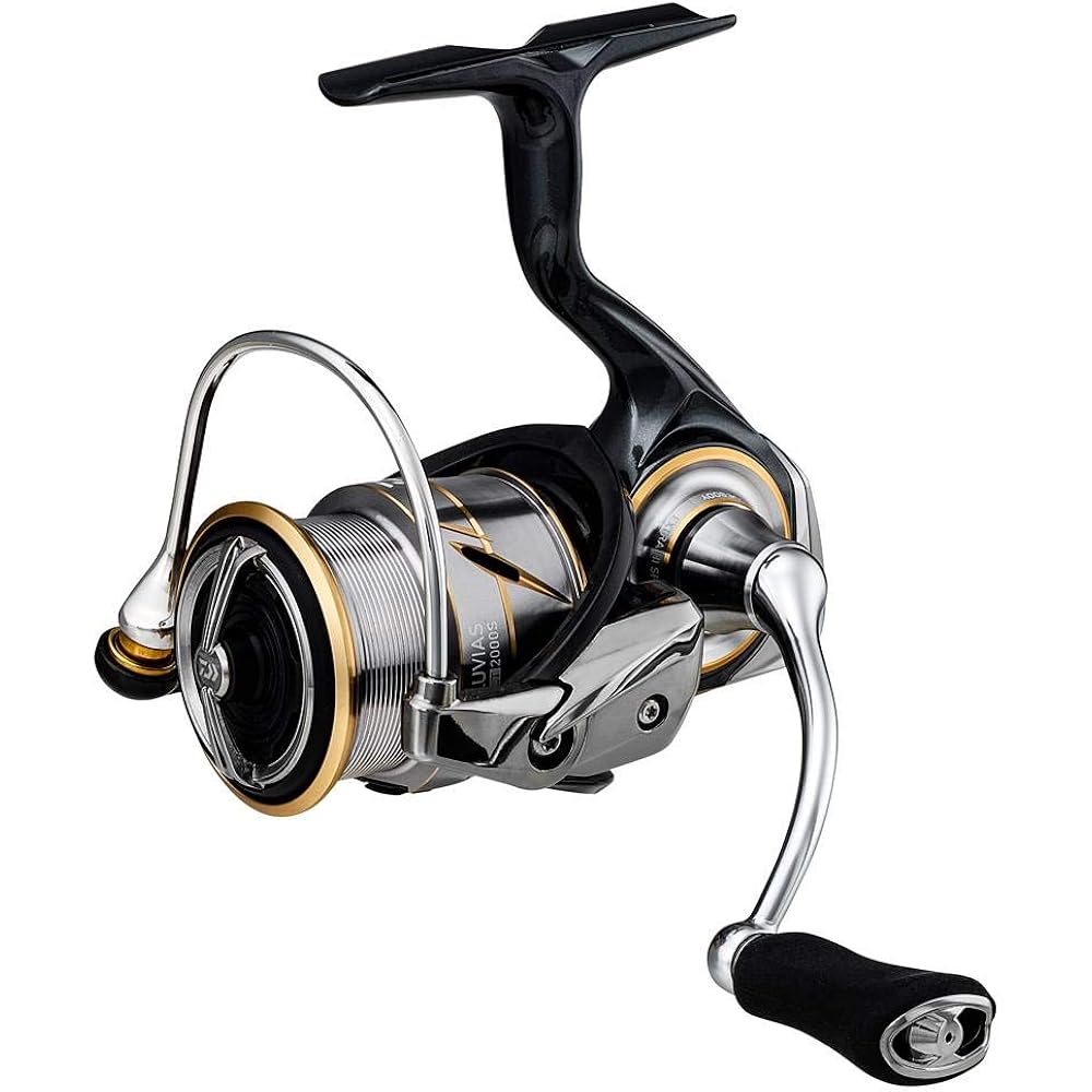 Daiwa (DAIWA) 20 Rubias FC LT2000S-XH