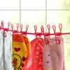 Portable Clothesline with 12 Clips for Travel