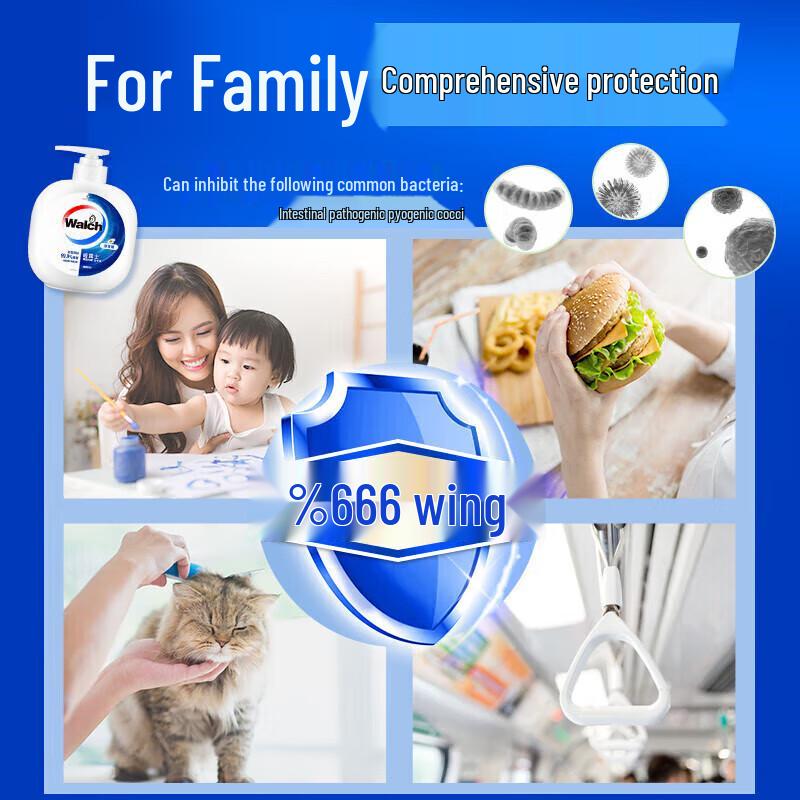 Walch Antibacterial Liquid Hand Soap Twin Pack