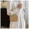 Summer Mini Handwoven Beach Bags for Women Small Fresh Crossbody Straw Pouch Square Bag Makeup Pouch