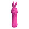 Rabbit Vibrator 10 Mode Clitoris Vibration Dildo Masturbator Female Vaginal Massage Adult G-Spot Stimulator Sex Toys For Women