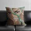 1Pc Anime Dr. Stone Pillow Case Fashion Square Pillowcase Bedroom Sofa Room Ins Decoration Leisure