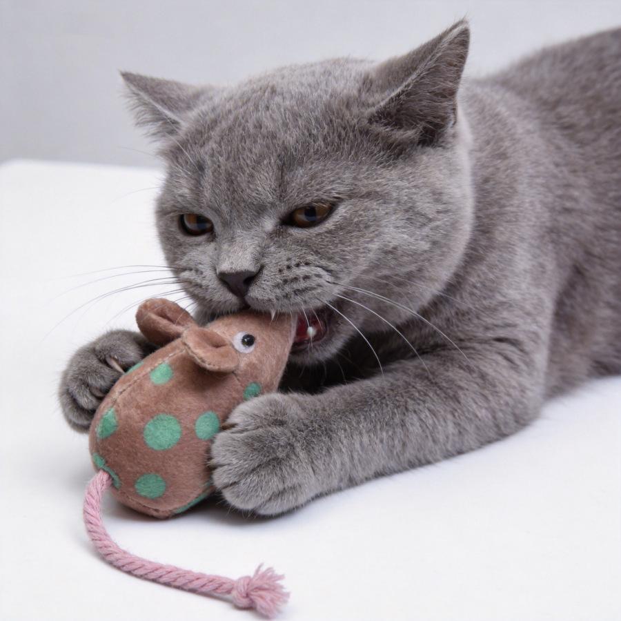 Simulation Plush Mouse Cat Toy With Catnip Bite Resistant