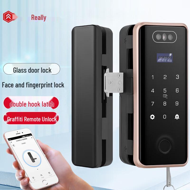 Realand ZD508 Smart Door Lock with Face & Fingerprint Recognition CN plug (adapter included)