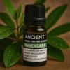 Ravensara Ätherisches Öl 10ml Madagaskar Wasserdampfdestilliert