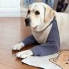 Büyük Köpek Ön Bacak Koruyucu Kol Kılıfı Buz İpeği Dirsek Koruyucu Labradorlar İçin Çizilmez Rahat Kesim