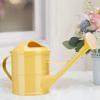 Watering Can 1.5L Jar Practical Long Mouth with Detachable Spray Head Watering Bottle for Flowerpots Indoor Patio Bonsai Home