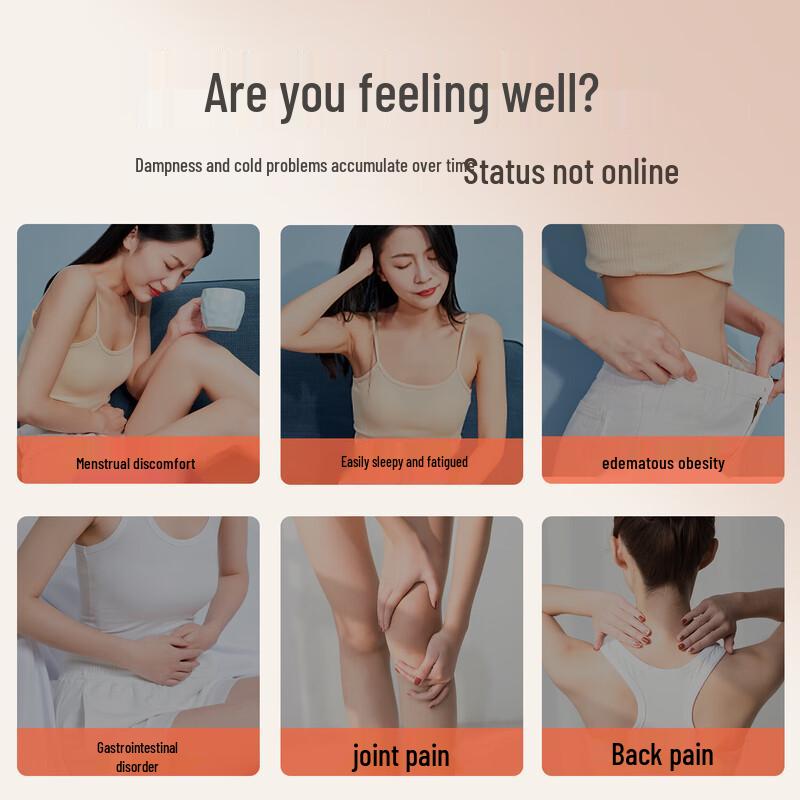 

Ai Xiu Tang Smart Moxibustion Device M11