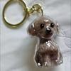 Pet Fur Memorial Pendant: Puppy & Kitten Keychain with Creative Storage Box.