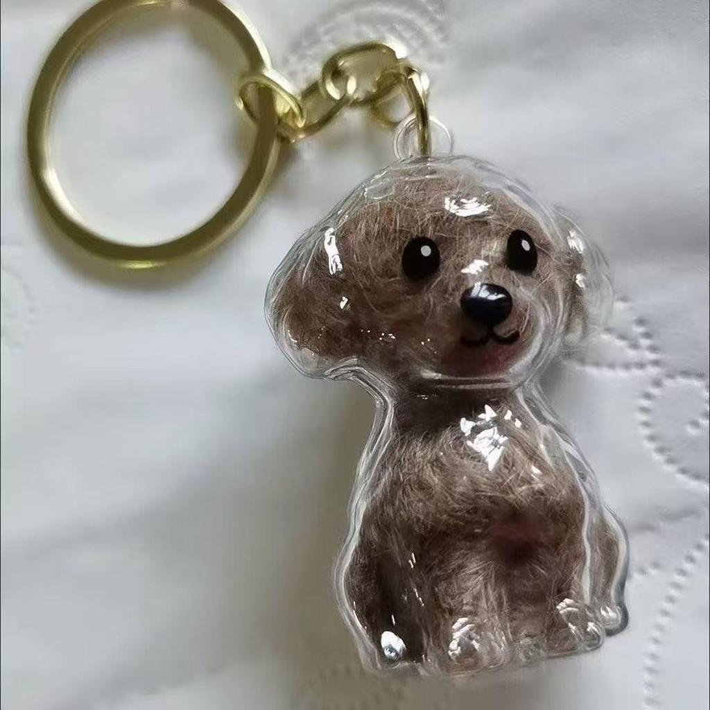 Pet Fur Memorial Pendant: Puppy & Kitten Keychain with Creative Storage Box.