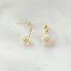 1 Pair Ear Studs All-match Accessories Flower Alloy Double Side Earring for Party