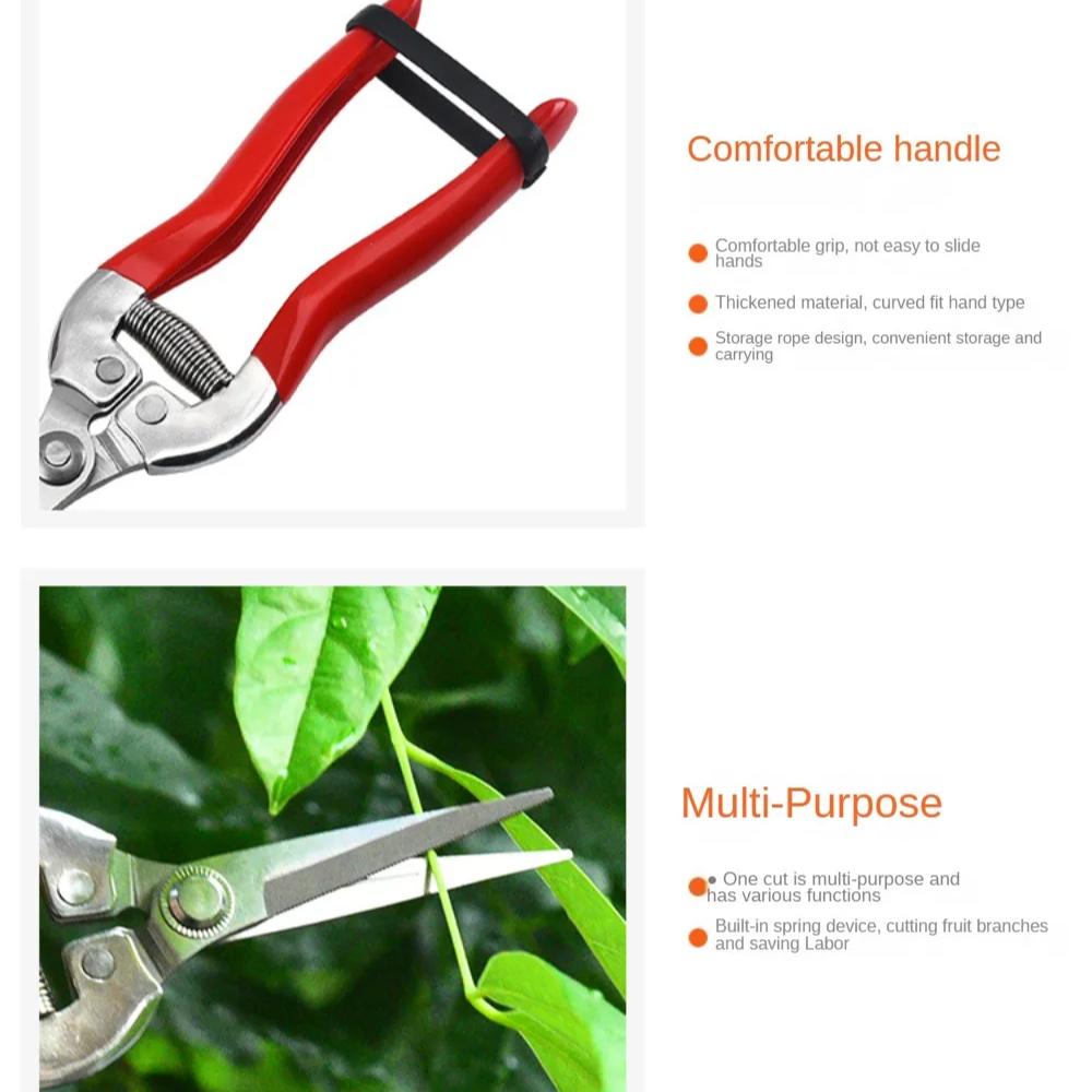Stainless Steel Pruning Scissors Gardening Scissors Household Fruit Picking Grape Scissors Garden Branch Pruning Tools