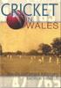 Kniha Cricket In Wales : An Illustrated History