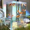 Acryl-Fischturm-Luftverlängerungs-Aquarium für die ökologische Landschaftsgestaltung. Bequemer Beobachtungs- und Sichtbereich, vergrößert den Raum