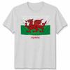 Wales Cymru Welsh Flag Unisex Tshirt Patriotic Welsh Pride Apparel