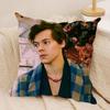 Singer HHarry Music Cushion Cover Silky Short Plush Invisible Zipper Dustproof Sofa Pillow Case for Home Decor