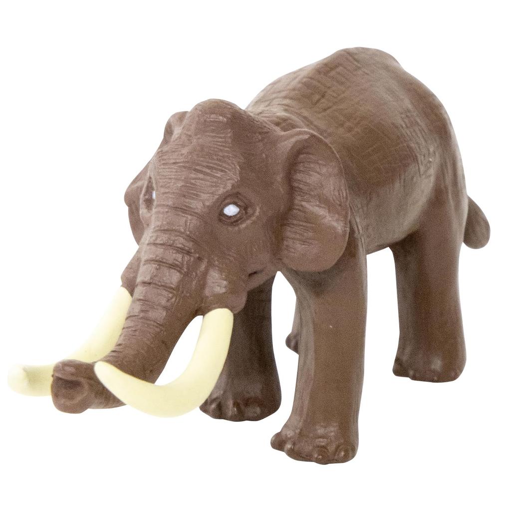 Plex Strongest King World Box Toy, Game, Craft, Ages 6 and Up, 197756