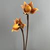 Real Touch Artificial Slipper Orchid Lifelike Single Branch Simulation Orchid Realistic Silk Orchid Flower Indoor Potted