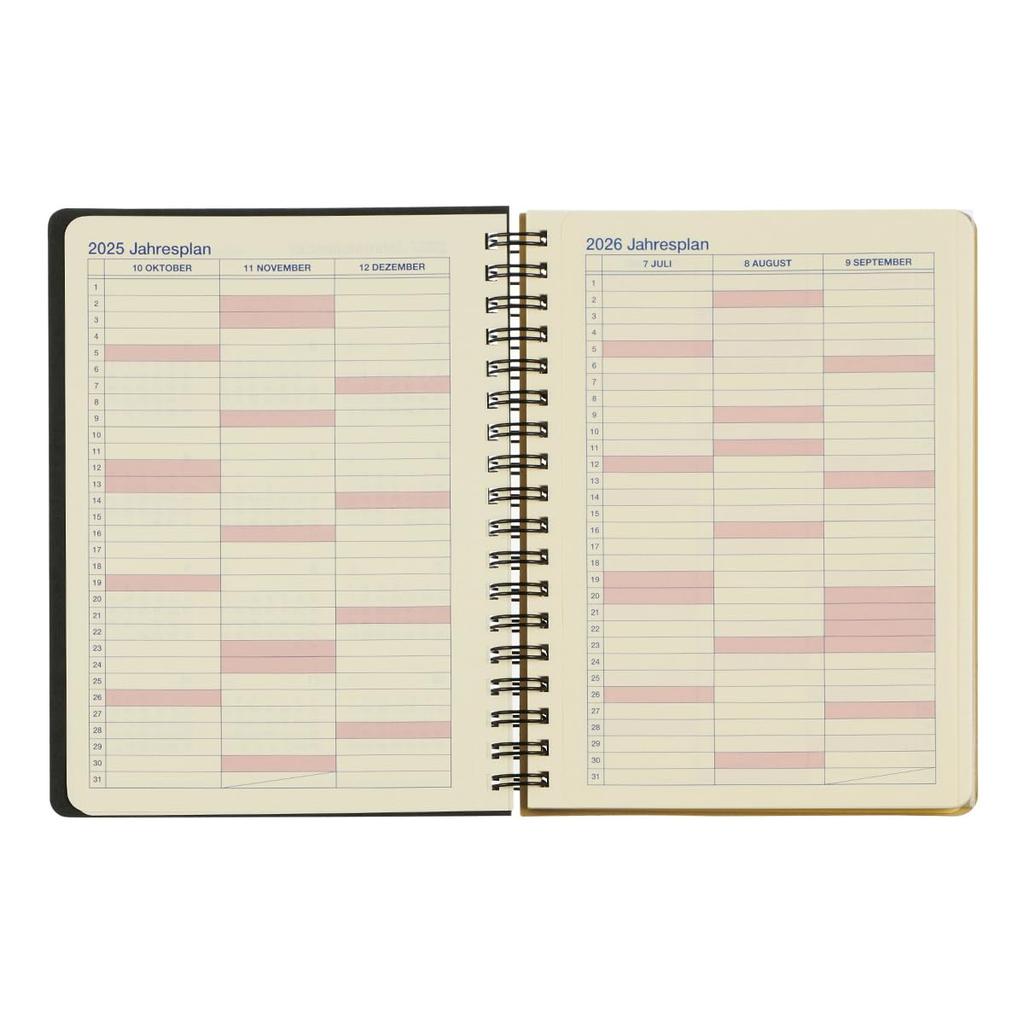 [Delfonics Planner 2026 Edition / Starting October 2025] Rollbahn Metallic Large Monthly Planner (Polarized)