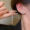 Silver Needle Elegant Diamond-encrusted Long Fringed Earrings Niche Temperament Versatile Earrings Simple Light Luxury High-end Earrings Women