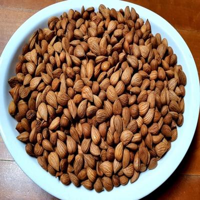 Snacky – Sladkosti