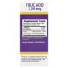Folic Acid, 1,200 mcg, 100 MicroLingual® Instant Dissolve Tablets