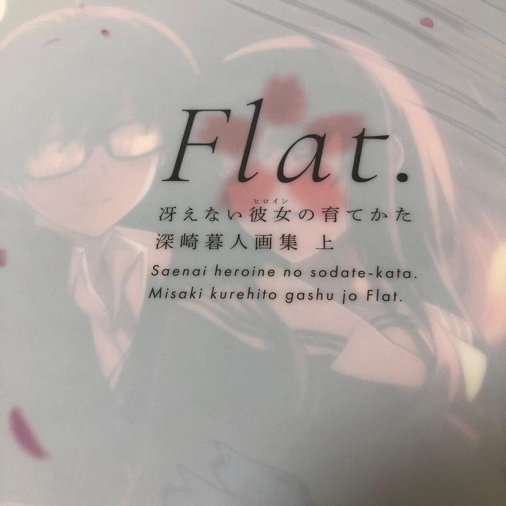 [USED] How To Raise a Boring Girlfriend Clear File Misaki Kurehito Art Book