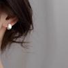High-end Temperament Silver Earrings for Women