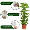 Self Watering Moss Pole Mesh Plant Support Pole Stackable Monstera Plant Support Plastic Moss Poles for Potted Climbing Plants