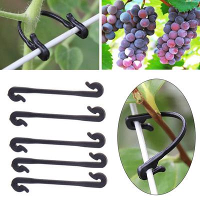 25PCS Garden Plants Vines Fixed Clips Tied Buckles Lashing Hook for Kiwi Grape Cucumber Tomato Stems Fastener Gadgets Grafting