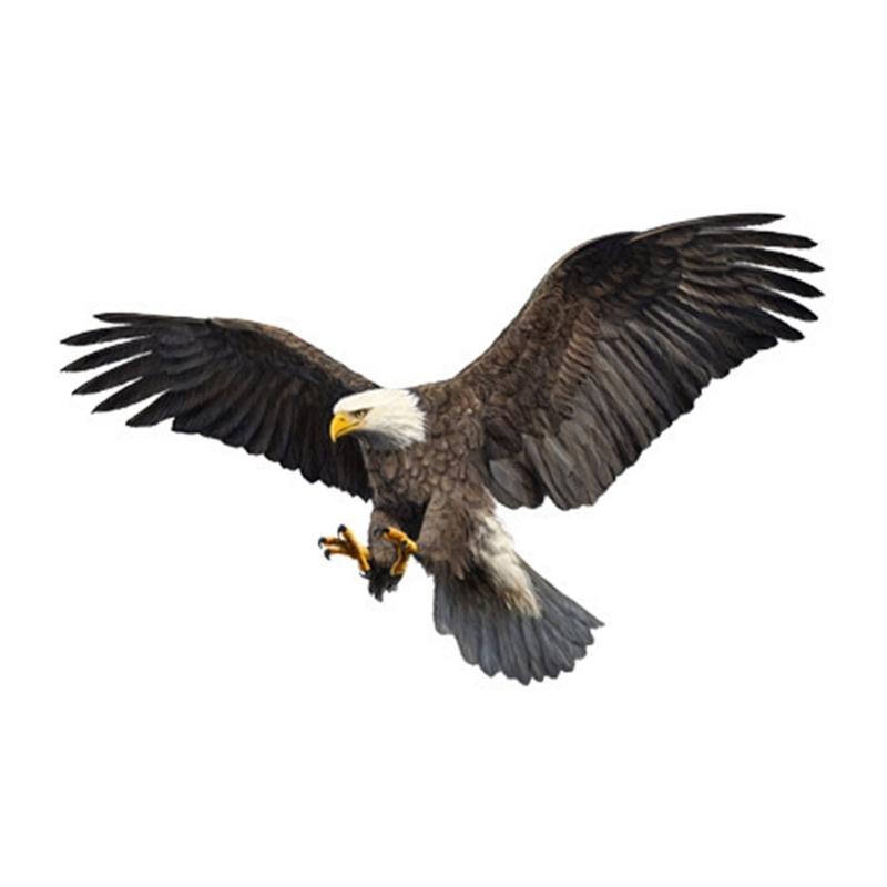 Set Of 2 Bird  Car Stickers Reflective Waterproof Decals Car Hood Cover Sticker for Car Window  Laptops Skateboards