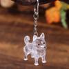 Cute Dog Fur Storage Pendant Fur Storage Capsule Pet Hair Container  Pet Souvenir
