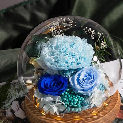 Mothers Day Gift Preserved Flowers Ornament with Light Gifts for Women Carnation