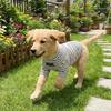 Cat Household Wear High Collar Dog Thermal Shirt Warm Soft Striped Sweatshirt Comfortable Two Leg Dog T-shirt Cold Weather