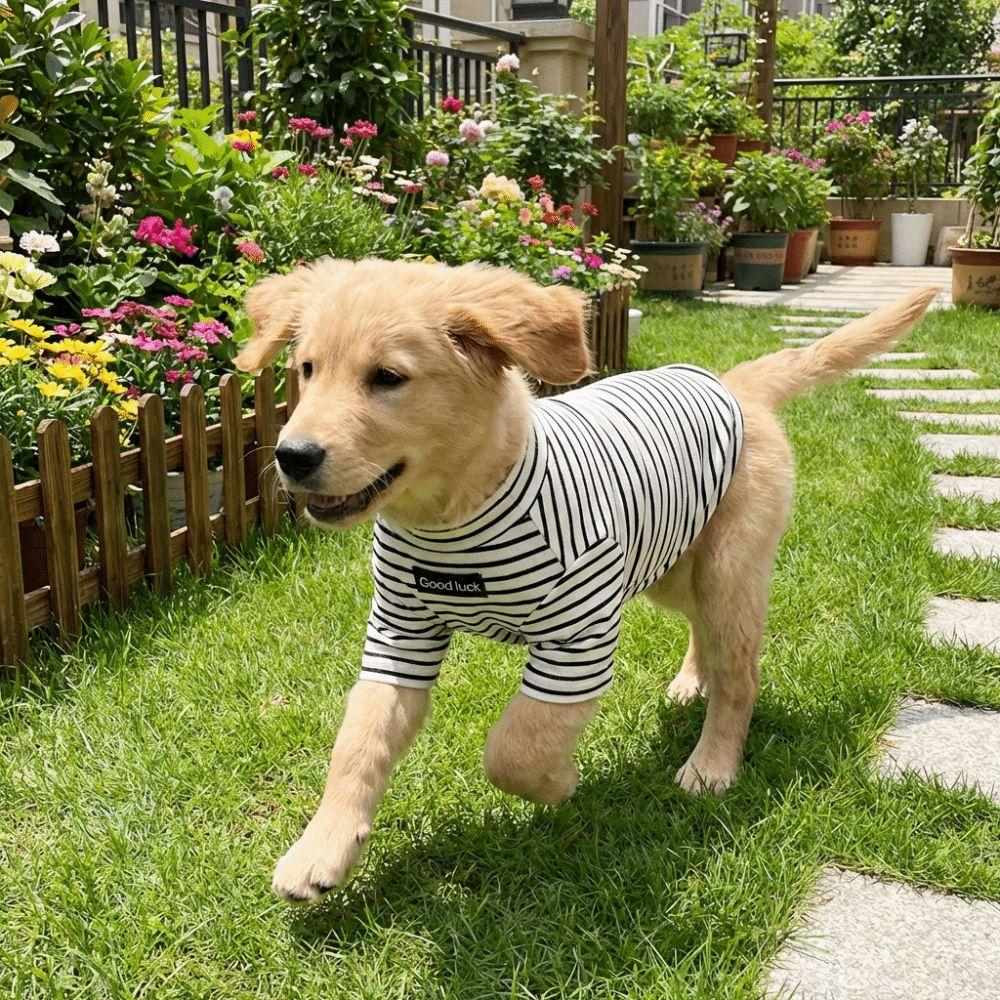 Cat Household Wear High Collar Dog Thermal Shirt Warm Soft Striped Sweatshirt Comfortable Two Leg Dog T-shirt Cold Weather