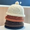 Autumn and winter new knitted hats children cute fashion pullover hat warm crimped landlord hat wool hat tide