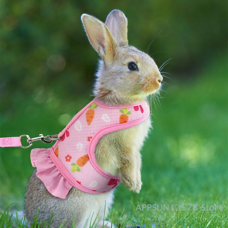 Süßes verstellbares Kaninchengeschirr Outdoor-Leinenverschluss Atmungsaktiver Netz-Westenrock Kaninchen Meerschweinchen Kleintier Zuggeschirr Anzug