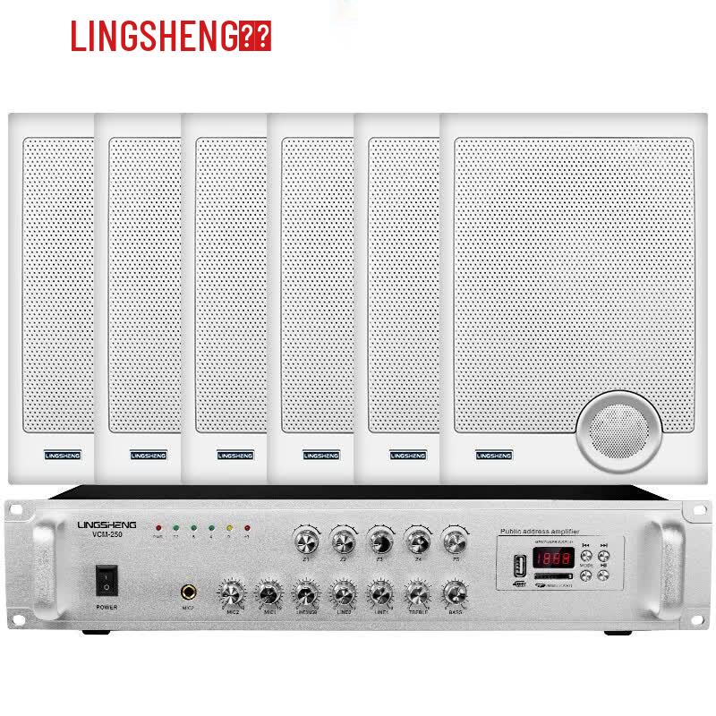 LINGSHENG WS-570 Wall-Mounted Public Address Speaker System (CN version)