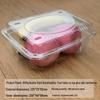 Portable Disposable Transparent Plastic Rectangular Fruit Packaging Box with Lid