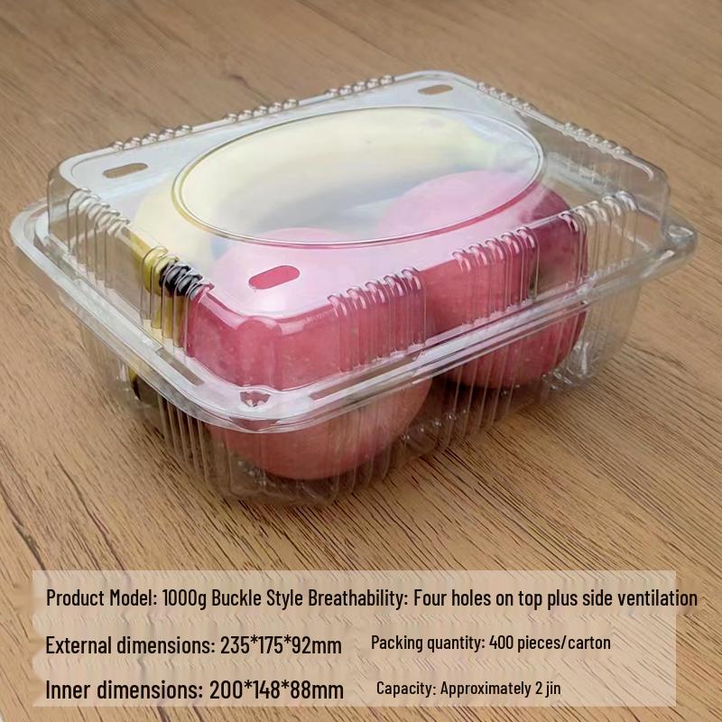 Portable Disposable Transparent Plastic Rectangular Fruit Packaging Box with Lid