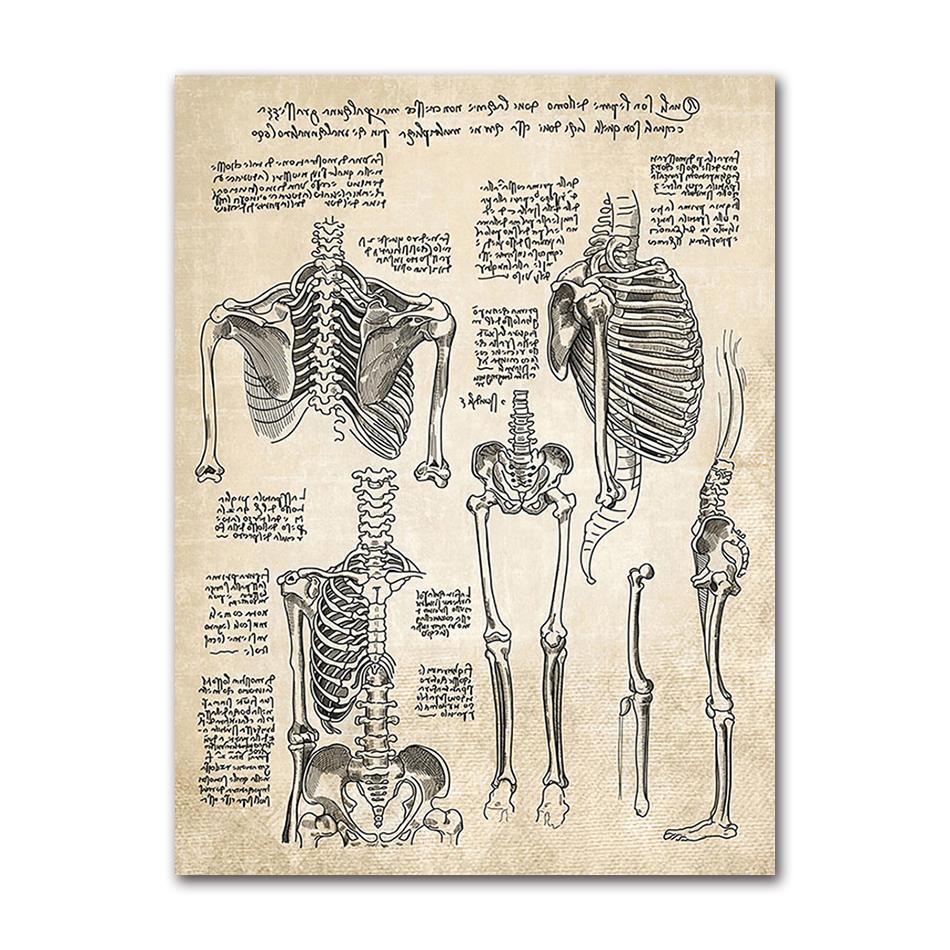 Wandbilder für Krankenhaus, Arzt, Büro, Dekor, Wandkunst, Leinwand, Malerei, Anatomie, Skelett, nordische Poster und Drucke, Vintage