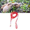 Reptile Traction Leash Safe Beads Design Small Animal Traction Rope for Guinea Hamster